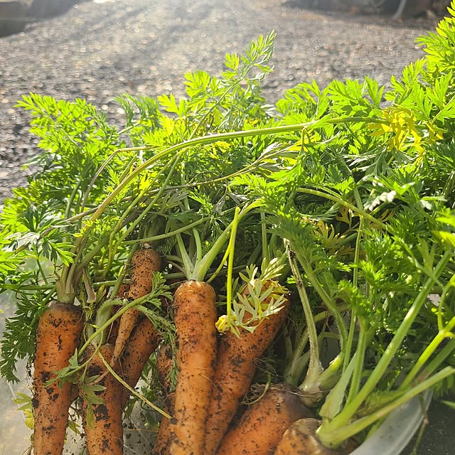 Rubiconさんの実例写真