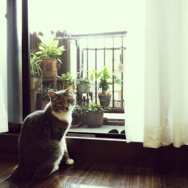 lovepandaさんの実例写真