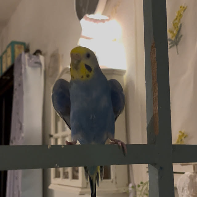 Atsukoさんの部屋