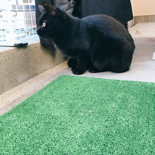 Machiさんの実例写真