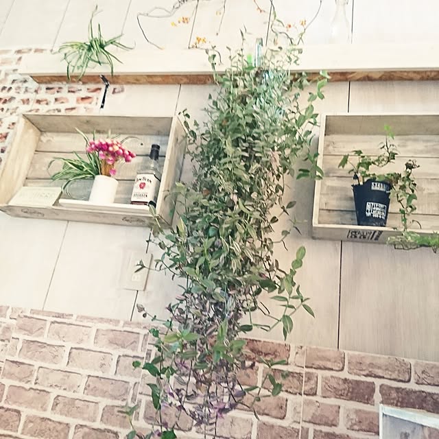 0103_eriさんの実例写真