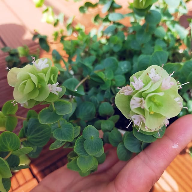 JKさんの実例写真