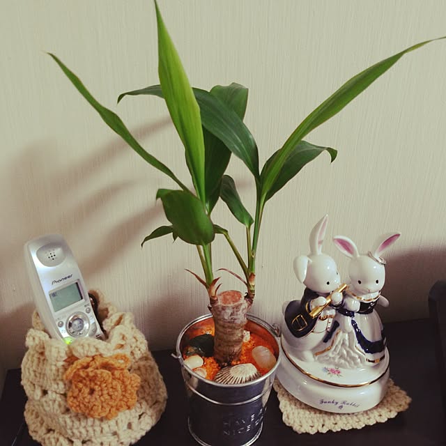 snskeさんの実例写真