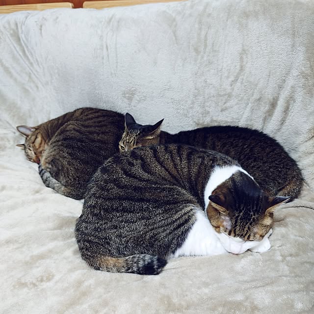 nachiさんの部屋