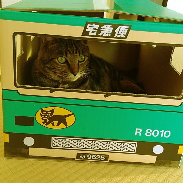 実例写真