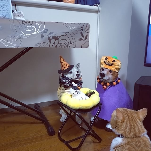 NOAHさんの実例写真