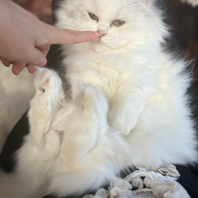 AYUKOさんの部屋