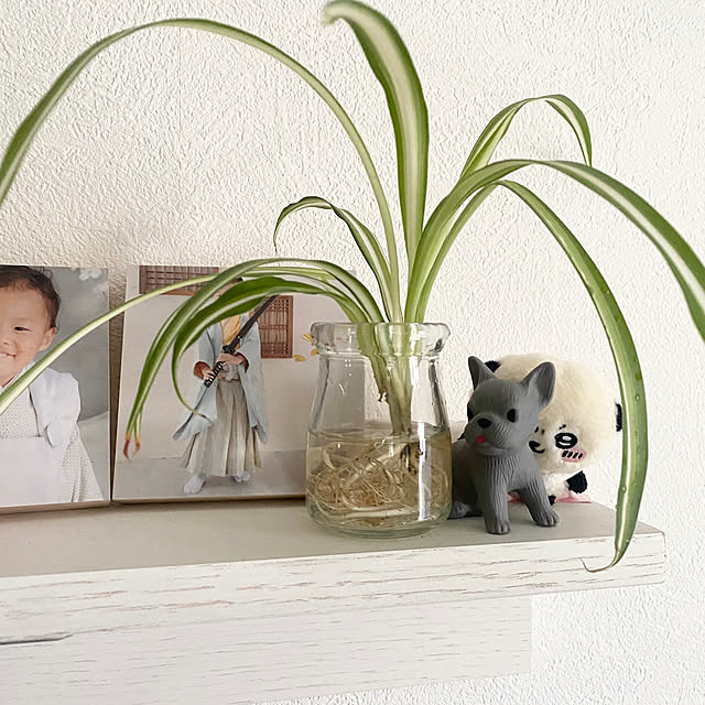 smileさんの実例写真