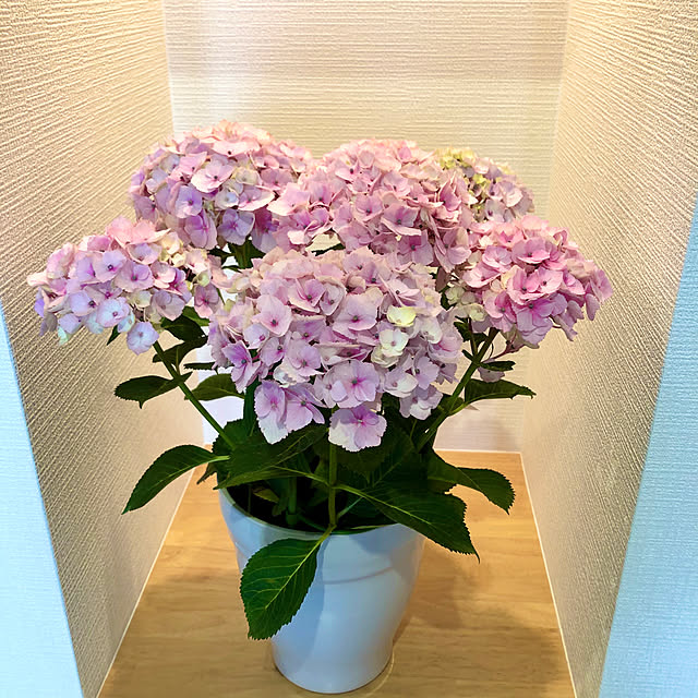 yukomariさんの実例写真