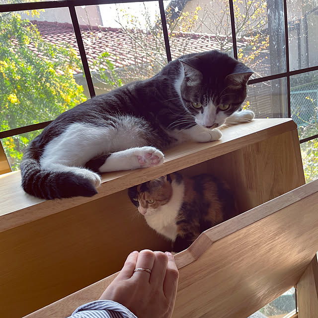 Yukinekoさんの部屋