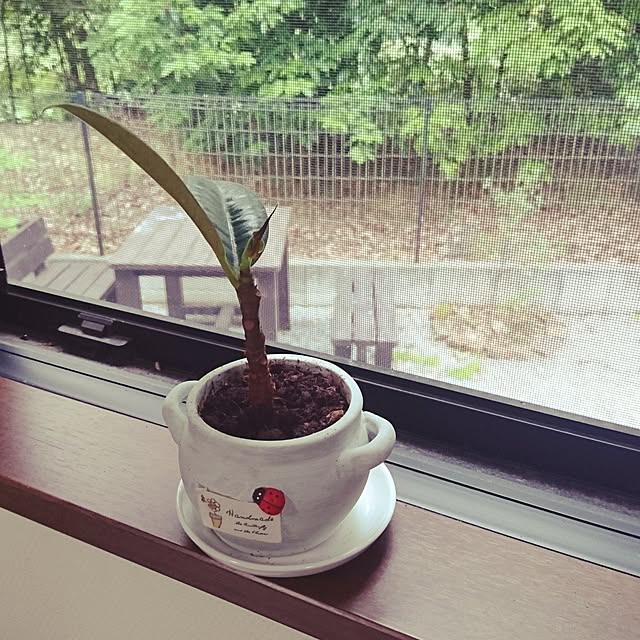 nscraftworksさんの実例写真