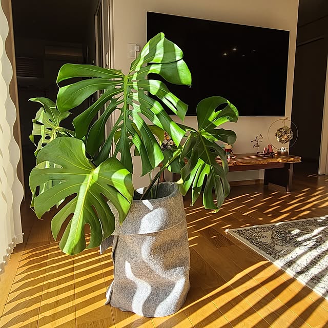 Rubiconさんの実例写真