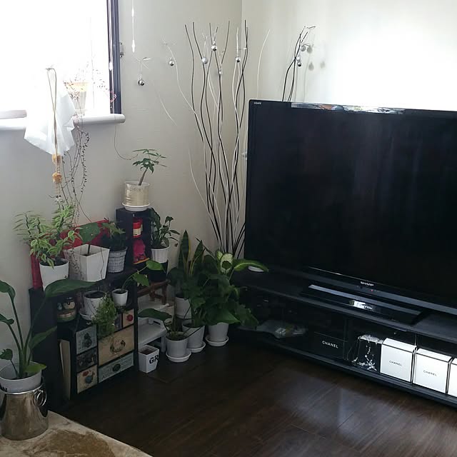 yumiさんの実例写真