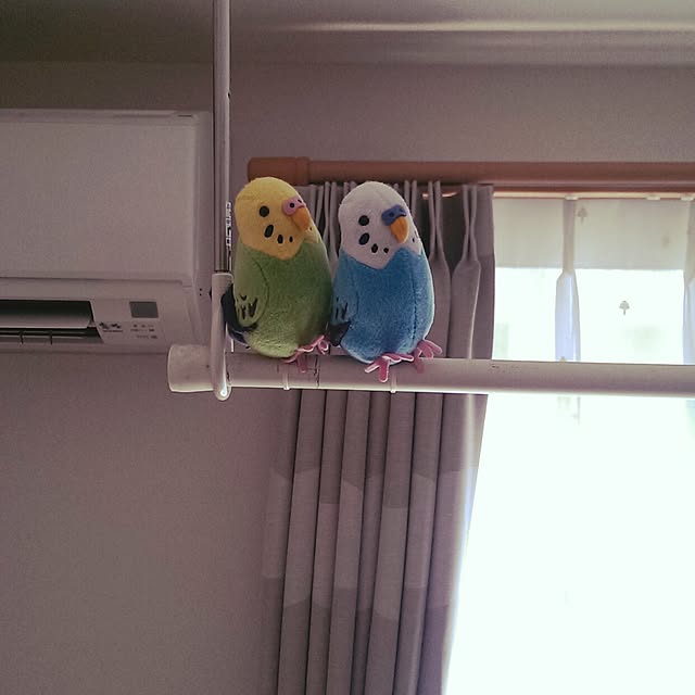 moguandpahipoさんの実例写真
