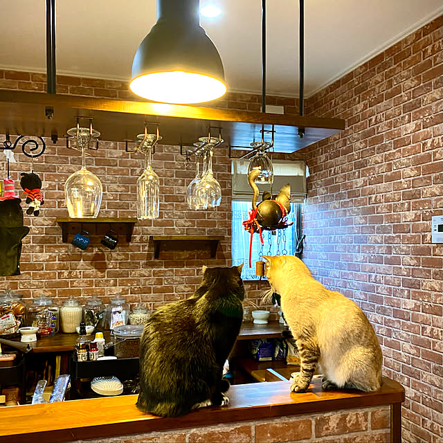 butachanさんの実例写真