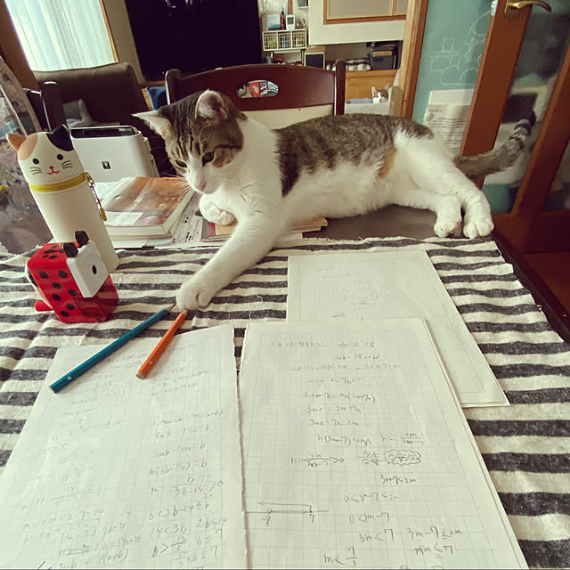 Lufuさんの実例写真
