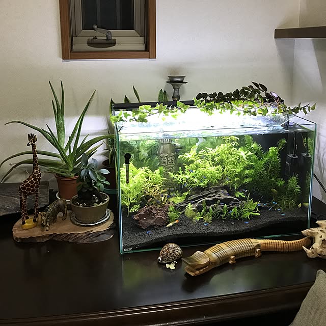 tornadeさんの実例写真