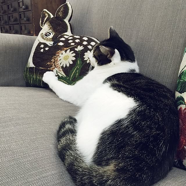 yuchiさんの実例写真
