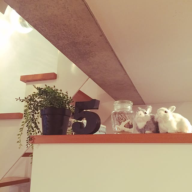 akiさんの実例写真