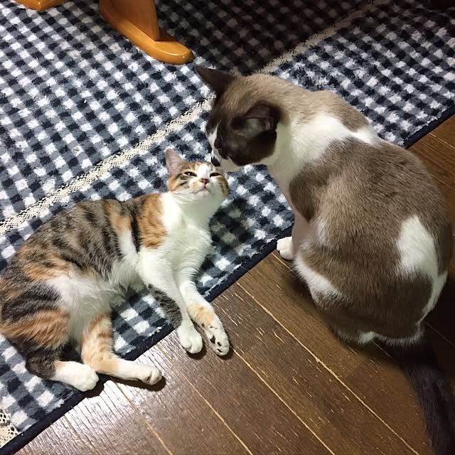 vivienne.coco-keiさんの実例写真