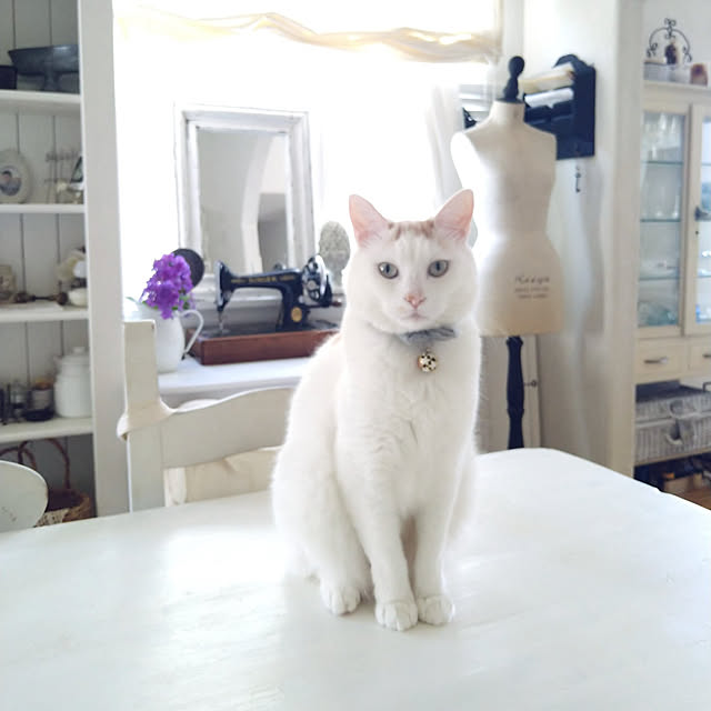 kiyosukeさんの実例写真