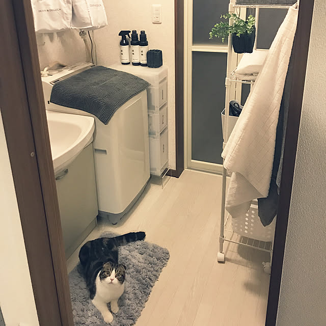 tansukeさんの実例写真