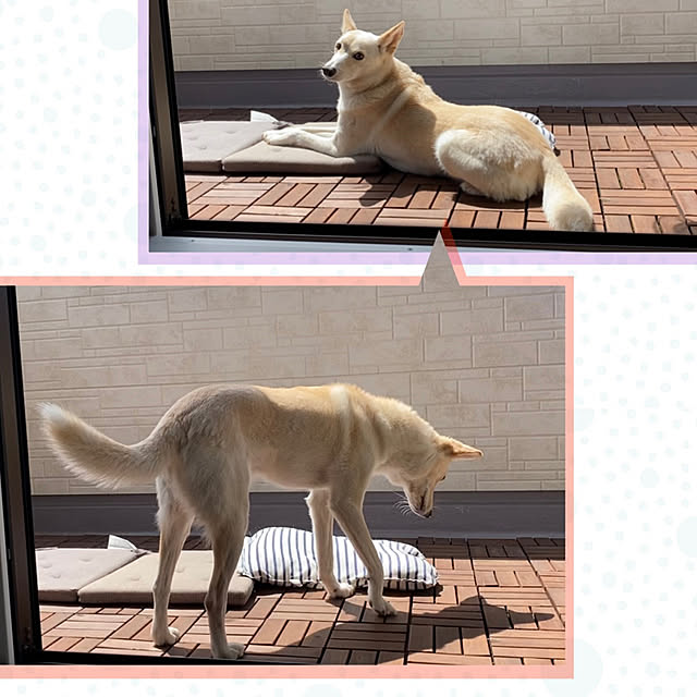 tanboさんの実例写真