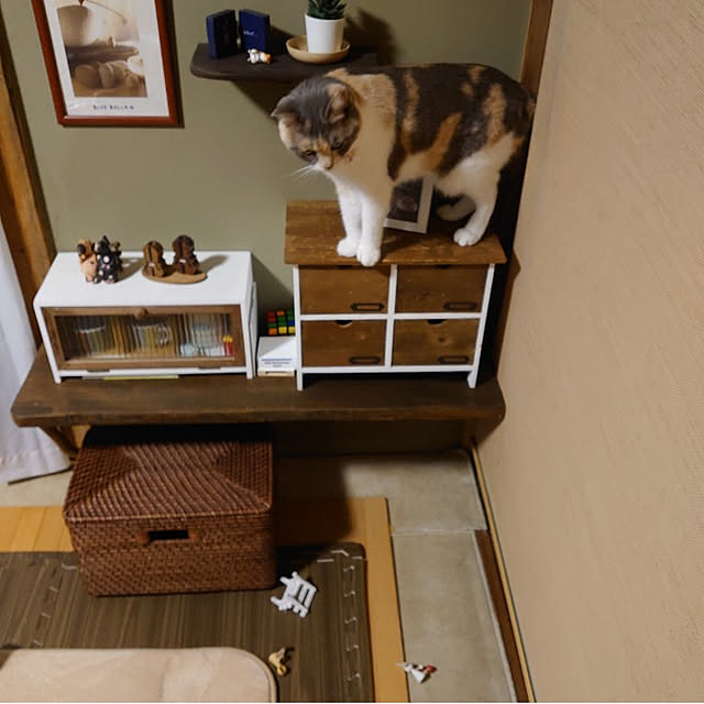 fukuさんの実例写真