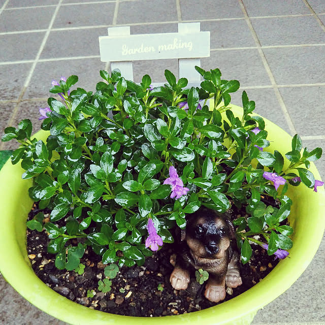 Tirorinさんの実例写真
