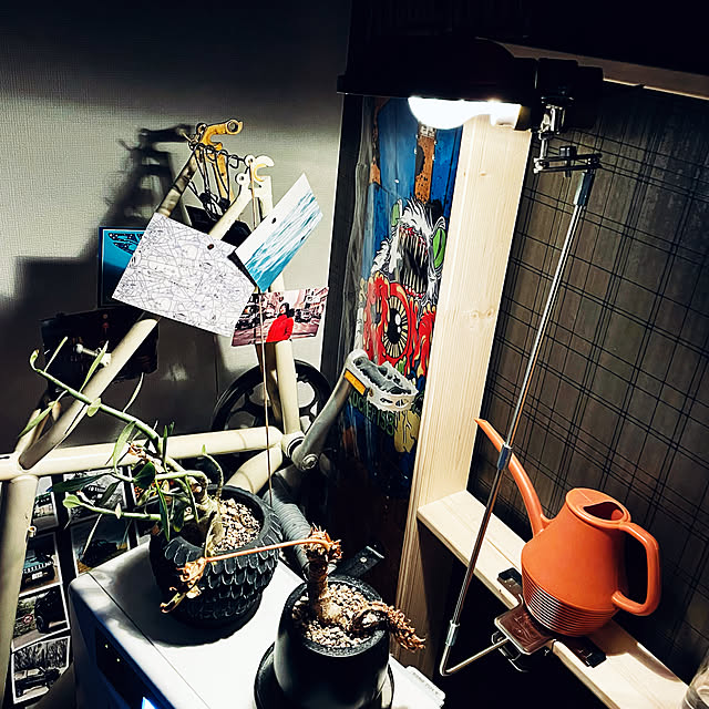 genki8080さんの実例写真