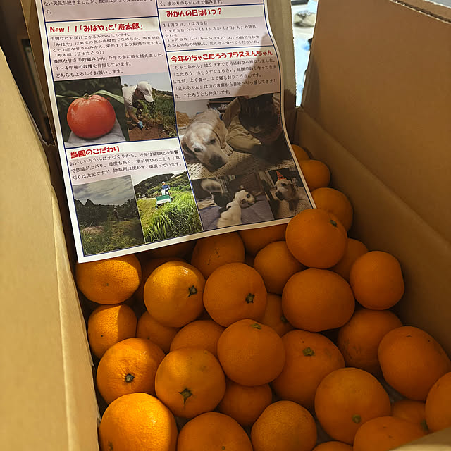 haruharu3さんの部屋