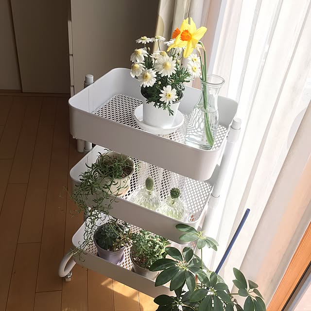 knanataさんの実例写真