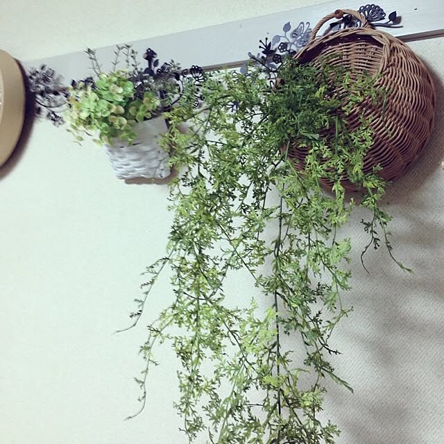 porinさんの実例写真