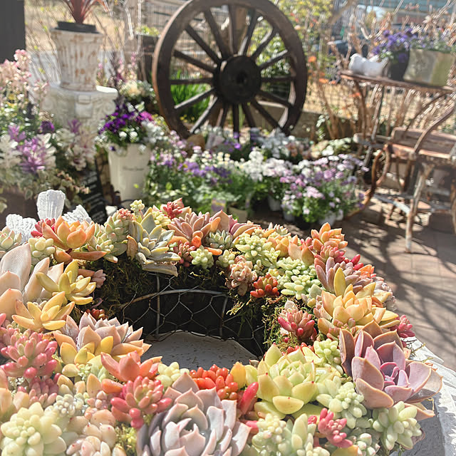 soraさんの実例写真