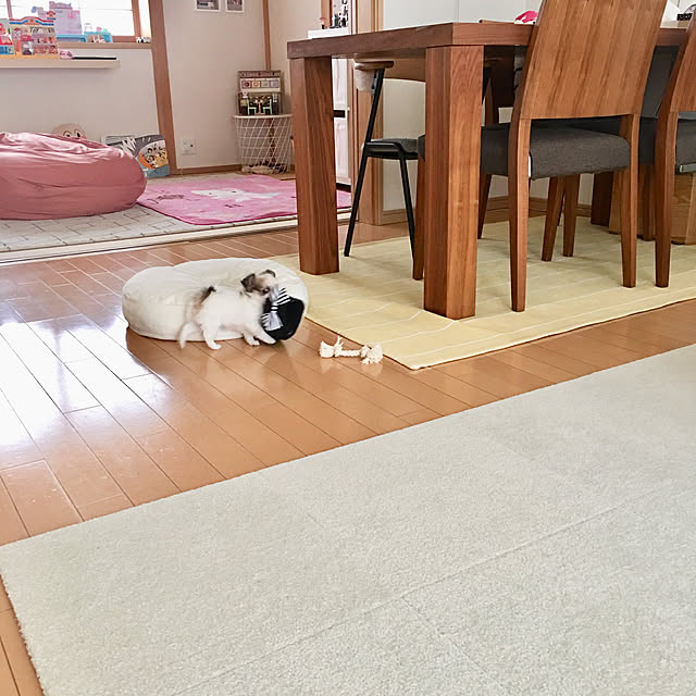 haritakaさんの実例写真