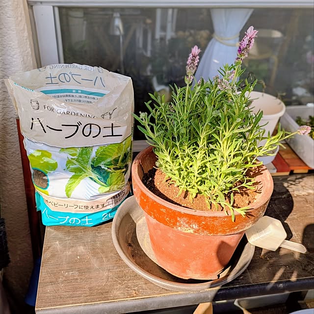 mi-saさんの実例写真