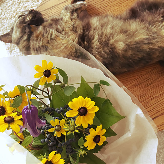 実例写真