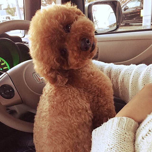 kazuさんの実例写真