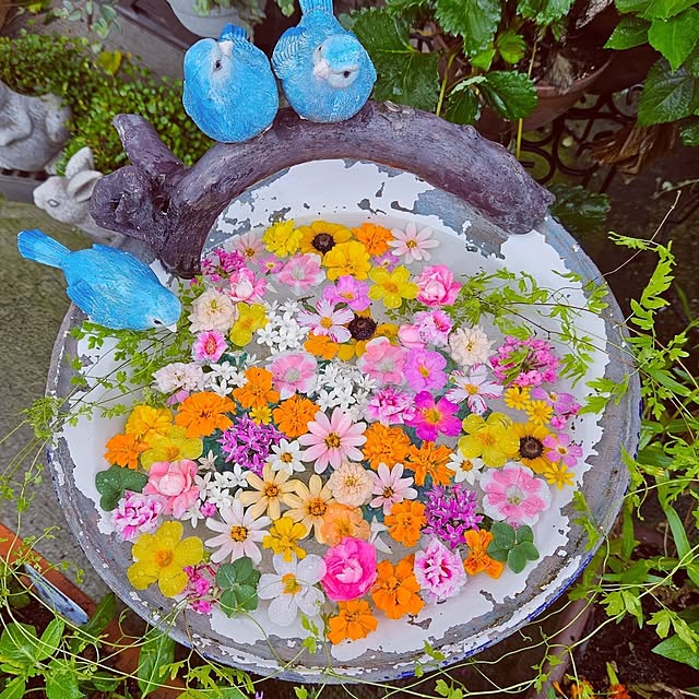 mocomocoさんの実例写真