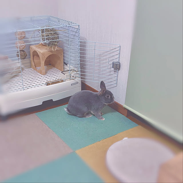 miao-kinさんの部屋
