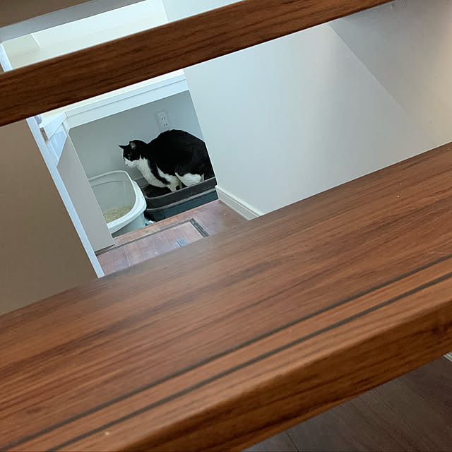 mikeume7さんの実例写真