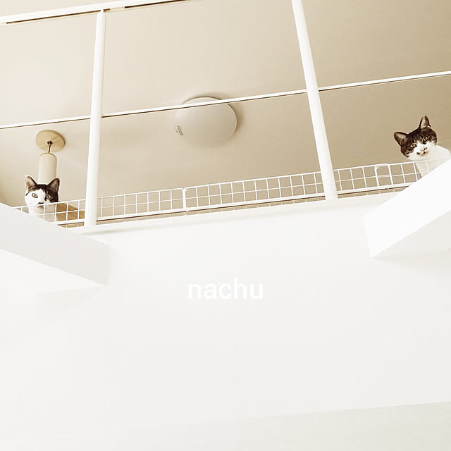nachuさんの実例写真