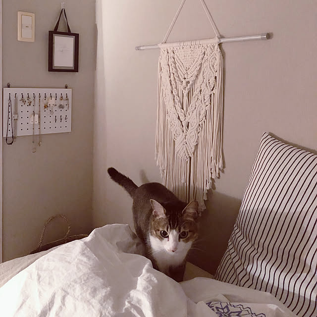 nekomiさんの実例写真