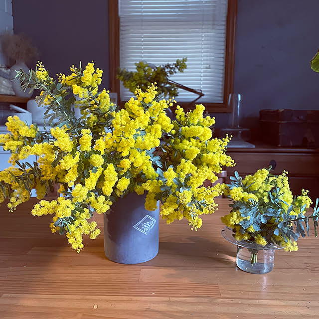 yupponさんの部屋