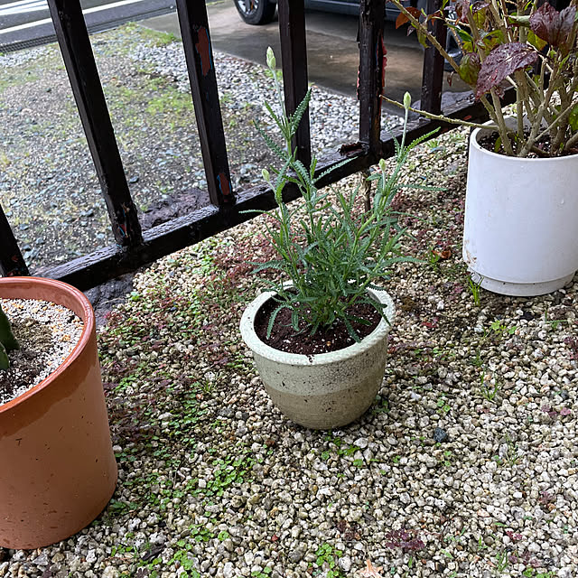 shin0719さんの実例写真