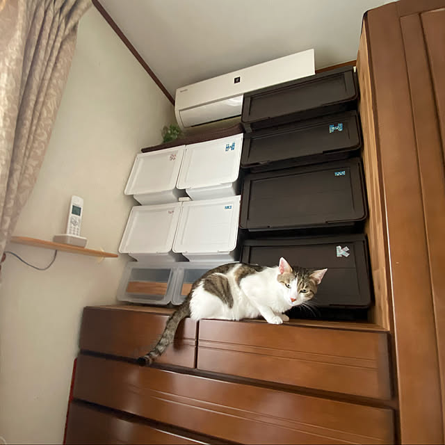 Lufuさんの実例写真