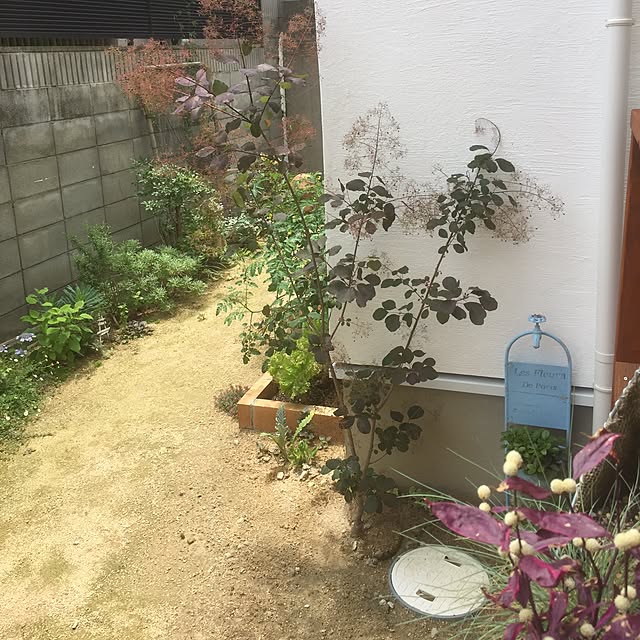 yumikoさんの実例写真