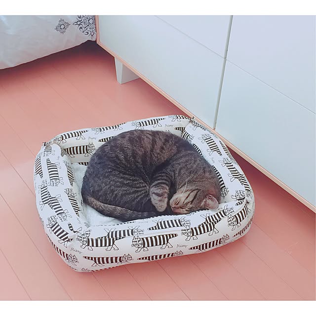 nyan.73さんの実例写真