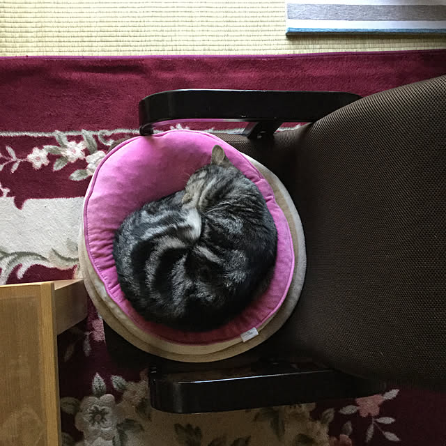 richanさんの実例写真