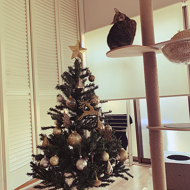 Tomonaさんの実例写真